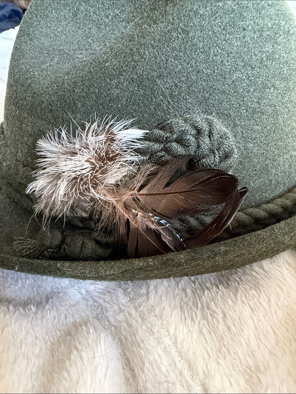 Diamant Men's Olive Wool Fedora Hat with Feather Trim - Picture 6 of 6